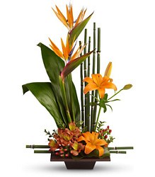 Exotic Grace Flower Power, Florist Davenport FL